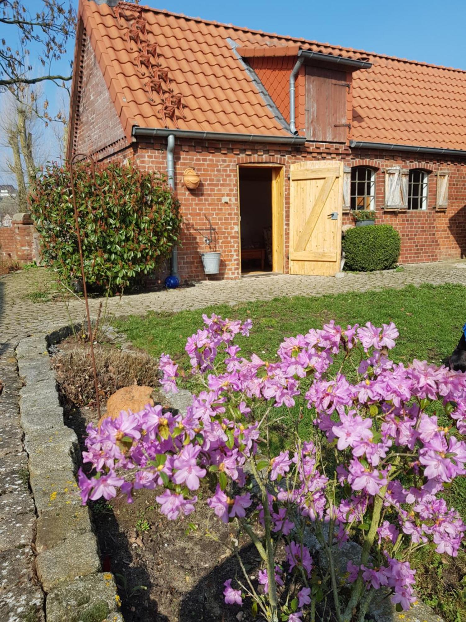 Ferienhaus Voern-Diek Hohnstorf Exterior foto